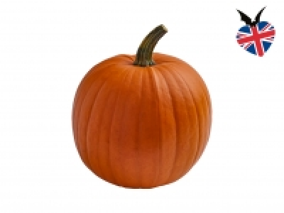 British Large Pumpkin £0.99
