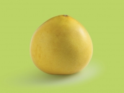 Pomelo £0.79