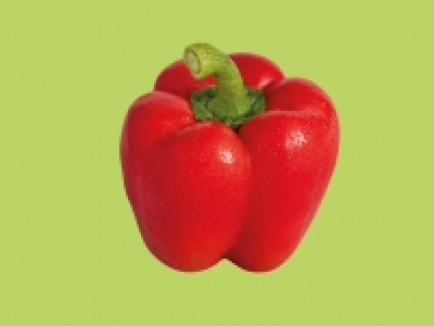 Red Pepper £0.35