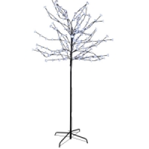 White Cherry Blossom Tree