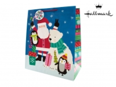 Hallmark Jumbo Gift Bag