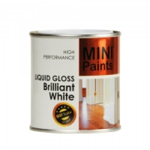 Mini Paints Gloss White 215ml