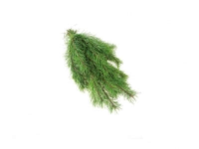 Botanical Decorations £2.29