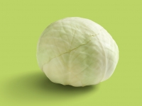 Lidl  White Cabbage