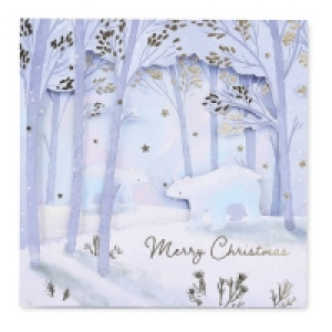 Polar Bear Luxury Xmas Cards 6 Pack