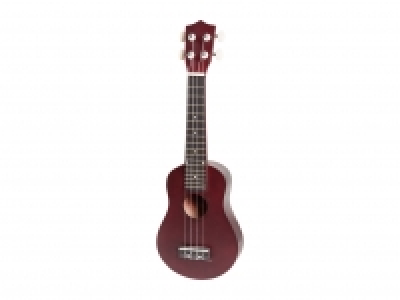 Ukulele or Soprano Recorder