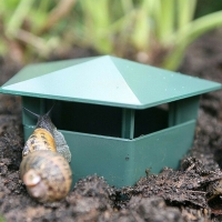 QDStores  Growing Patch 2 Pack Slug And Snail Traps