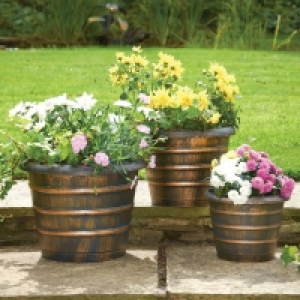 (DIS) Beehive Garden Planters 3 Pack
