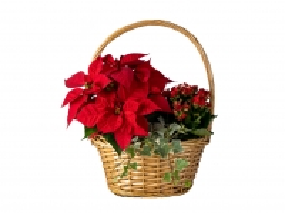 Christmas Basket £8.49