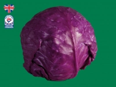 British Red Cabbage