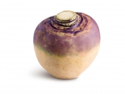 Oaklands Swede