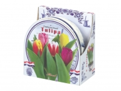 Flowering Bulbs In Ceramic Bowl £2.99