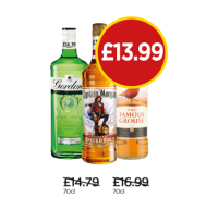 Budgens  Gordons Gin, Captain Morgan Spiced Rum, The Famous Grouse Wh