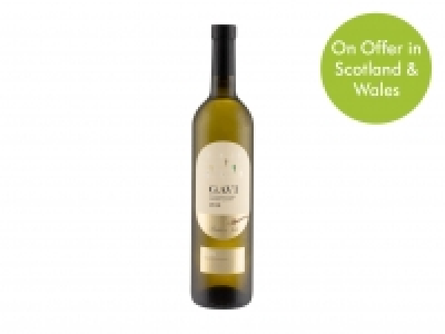 Italian Gavi