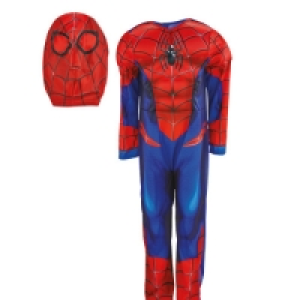 Spider-Man Fancy Dress