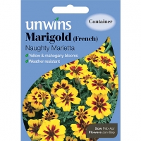 Wickes  Unwins French Naughty Marietta Marigold Seeds