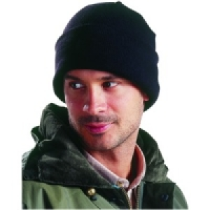 Dickies Thinsulate Watch Cap One Size Black