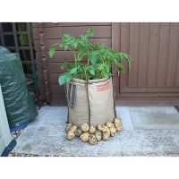 Wickes  Unwins Potato Seed Taster Grow Kit