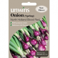 Wickes  Unwins Holland Blood Red Spring Onion Seeds