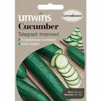 Wickes  Unwins Telegraph Improved Cucumber Seeds