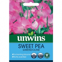 Wickes  Unwins Gwendoline Sweet Pea Seeds
