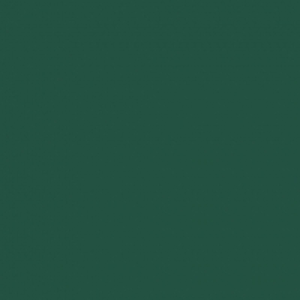Superfresco Easy Green Elegant Leaves Wallpaper - 10m £16.00