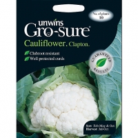 Wickes  Unwins Clapton F1 Cauliflower Seeds