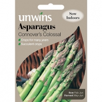 Wickes  Unwins Connover Colossal Asparagus Seeds