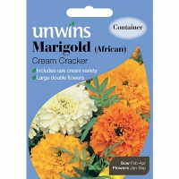 Wickes  Unwins African Cream Cracker Marigold Seeds
