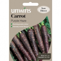 Wickes  Unwins Purple Haze Carrot Seeds