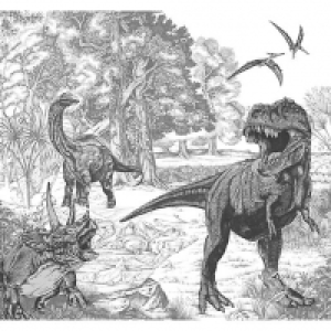 Dinosaur Sketch Wall Mural 3m x 2.8m £52.00