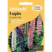 Wickes  Unwins Russell Mix Lupin Seeds