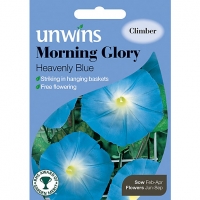 Wickes  Unwins Heavenly Blue Morning Glory Seeds