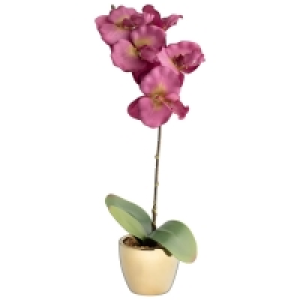 Artificial Orchid with Gold Pot