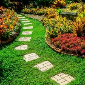 Garden Design and Maintenance Diploma Online Gift Experience £29.00