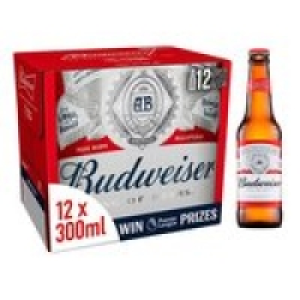 Budweiser Lager Beer Bottles £10.00