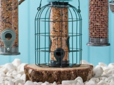 Oakdale Squirrel-Resistant Bird Feeder £3.99