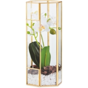 Faux White Orchid In Glass Terrarium