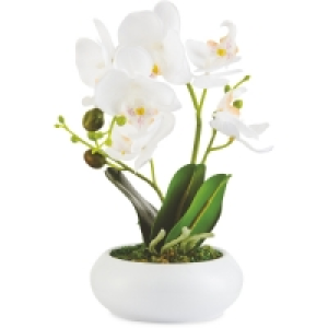 Faux White Orchid In Ceramic