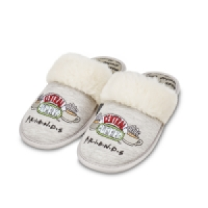 Ladies Grey Friends Slippers