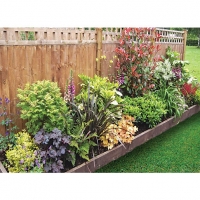 Wickes  Garden on a Roll Mixed Shady Plant Border - 600mm x 3m