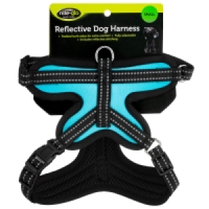 BMStores  Nite Glo Reflective Dog Harness - Teal