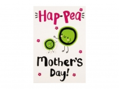 Mothers Day Card and Gift Bag Assortment