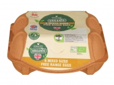 Woodcote 6 Organic Eggs