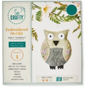 So Crafty Owl Craft Character Kit