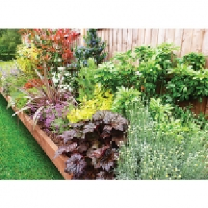 Garden on a Roll Mixed Sunny Plant Border - 900mm x 9m