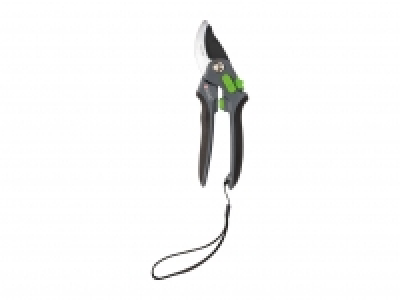 Parkside Anvil or Bypass Secateurs