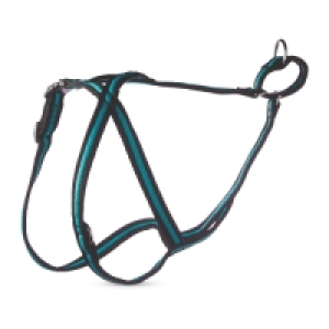 Pet Collection Large Dog Harness