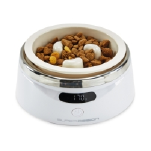 Pet Collection Bowl With Scales