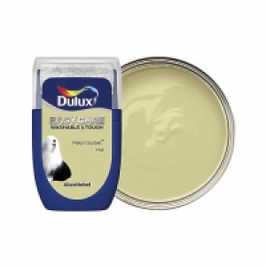 Dulux Easycare Washable & Tough - Melon Sorbet - Paint Teste